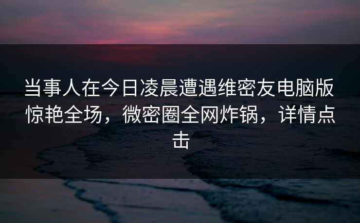 当事人在今日凌晨遭遇维密友电脑版 惊艳全场，微密圈全网炸锅，详情点击