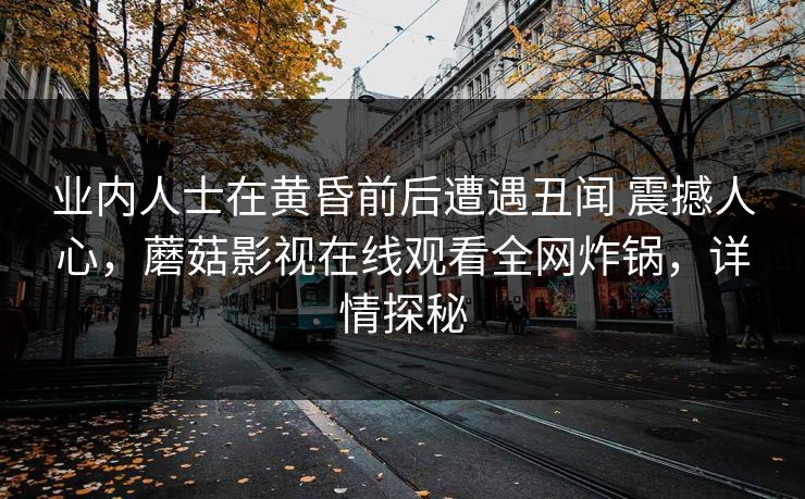 业内人士在黄昏前后遭遇丑闻 震撼人心，蘑菇影视在线观看全网炸锅，详情探秘